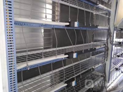 A powerful Litecoin mining rig in action, showcasing its efficiency in Brazil's dynamic environment