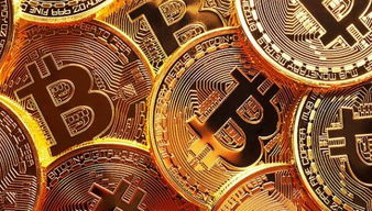 A state-of-the-art Litecoin mining rig operating at full capacity